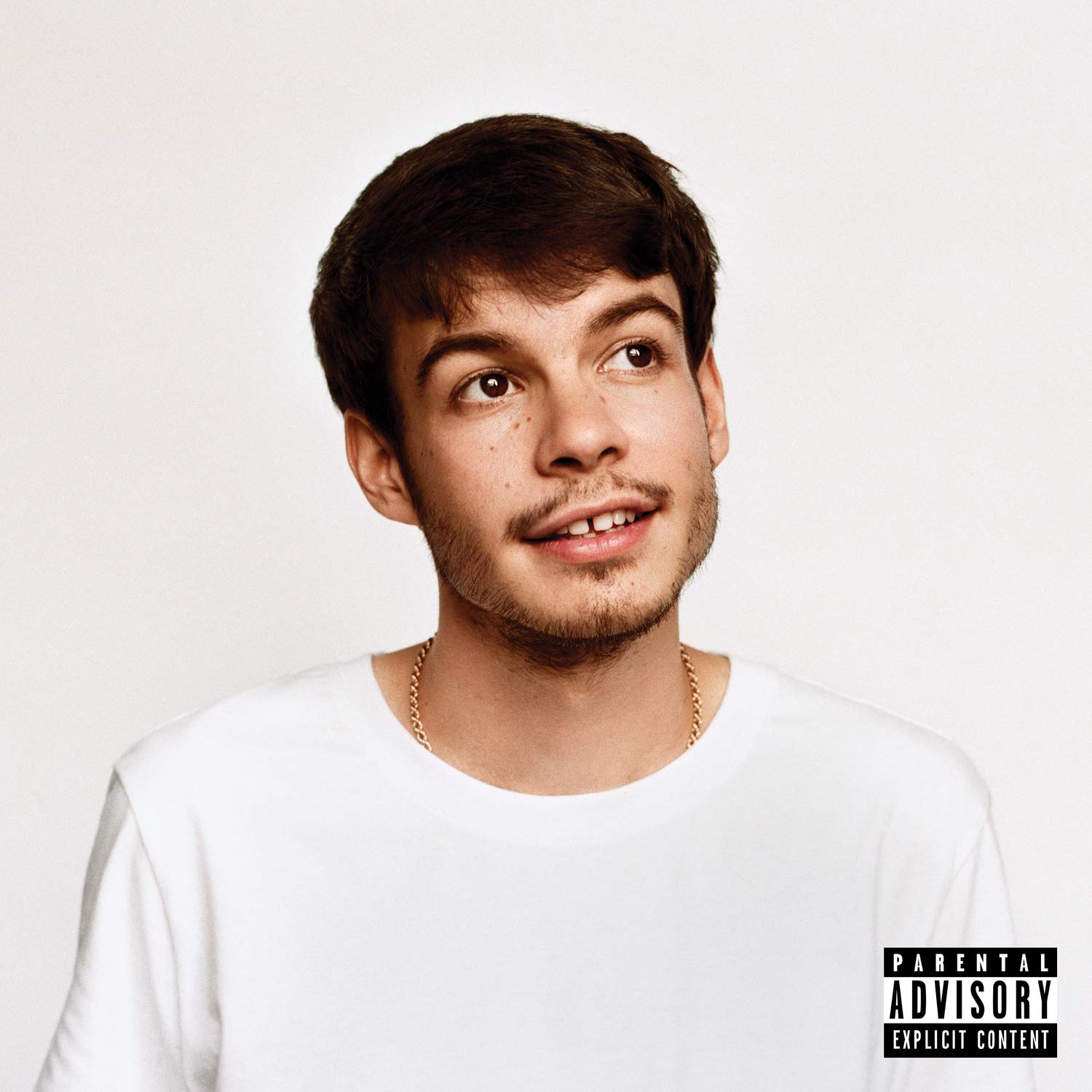 Rex Orange County Apricot Princess 帯付 CD Rex Orange County Apricot Princess 帯付 CD